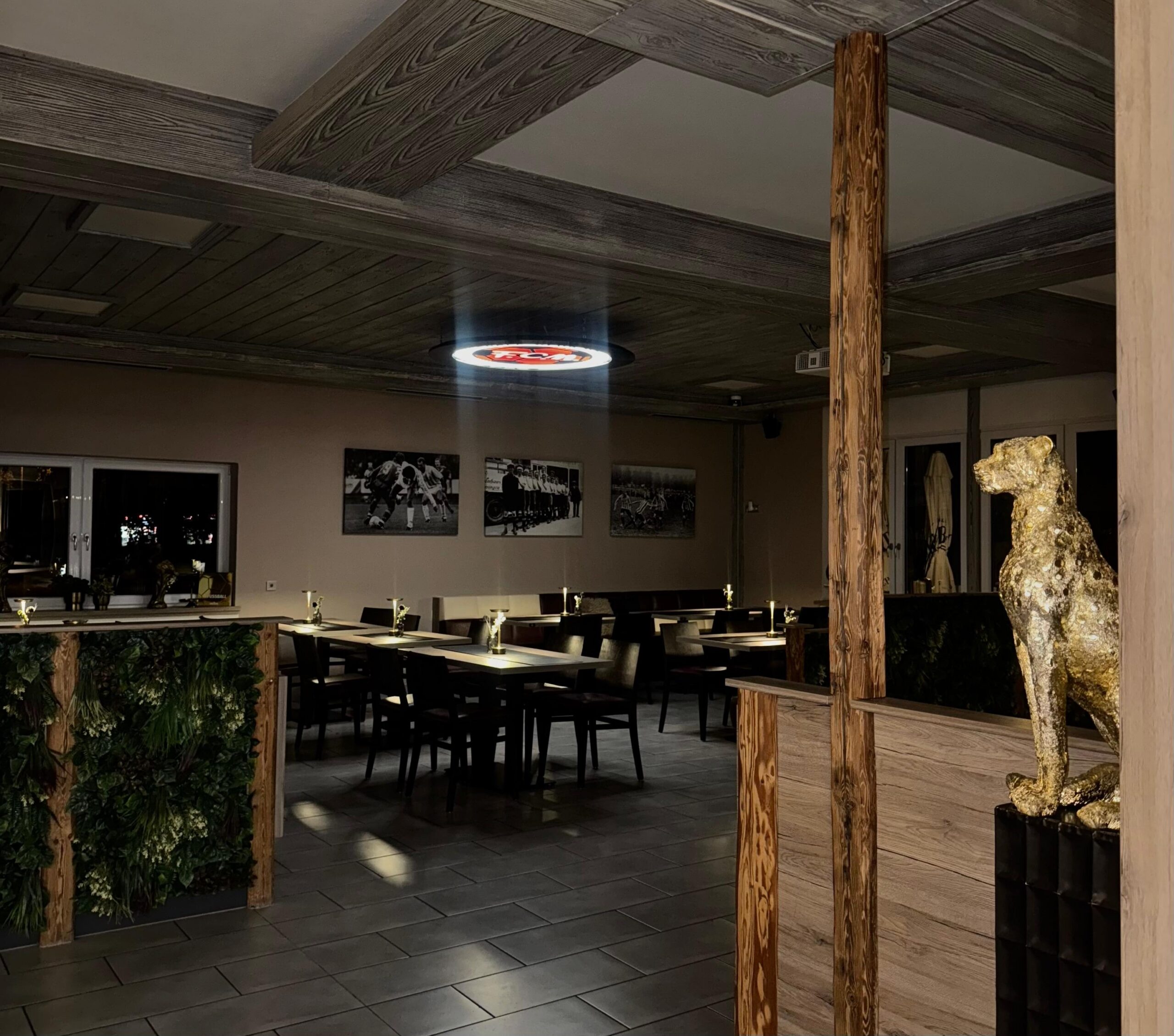 495a1e16-1194-4597-bc3b-50aab11f5a74